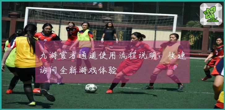九游官方通道使用流程说明，快速访问全新游戏体验